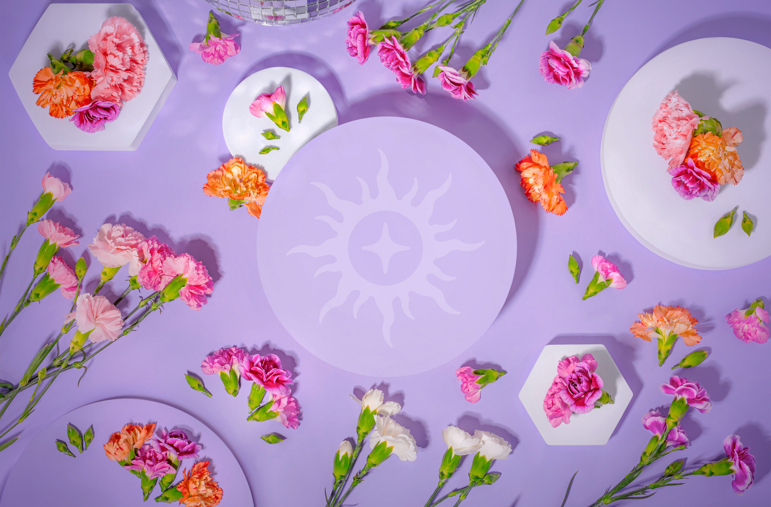 Photographie Studio Helloday : fleurs colorées disposées sur un fond violet avec supports ronds et hexagonaux.